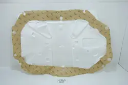 OEM 828645087R Oikean Luistavan Oven Vaahtoeriste
