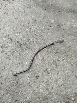 Stuurbekrachtigingsslang VW Passat B5 Audi A4 1.9 TDI