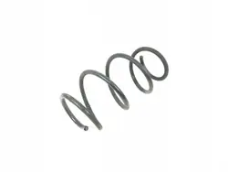 Muelle delantero OEM RZV57305 para BMW 3 GT F34