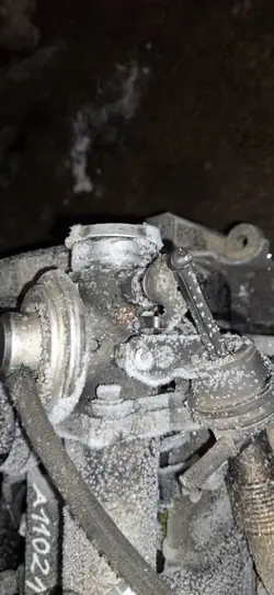 OEM 038131501e EGR-ventil för VW Bora 1.9L