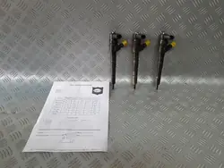 Inyector Opel Diesel 2 pcs 0445110327