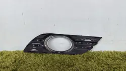 Chromgrill Halogen Stoßstange Rechts Vorne W211 E 211 Lift