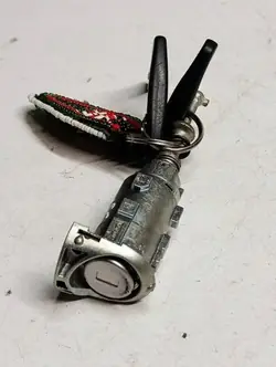 Inserción cerradura puerta Renault Captur OEM N0501992