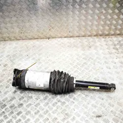 Hinterer linker Luftstoßdämpfer Tesla Model S OEM 106746125C