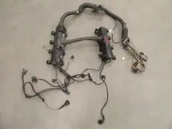 Faisceau Moteur OEM 1438902 BMW X5 4.4 V8