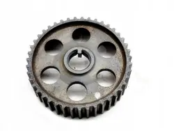 Poulie de courroie de distribution OEM 30060002/19