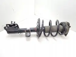 Ammortizzatore anteriore Nissan Murano Z51 2014 543031AT3C