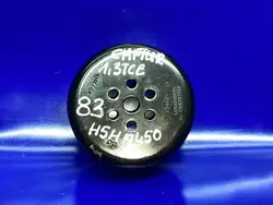 Wasserpumpen-Riemenscheibe OEM 210510501R für Dacia Captur