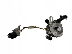 Reductor de gas OEM Renault Clio V 1.0 TCE - Landirenzo