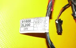 Faisceau Porte Avant Gauche OEM 916002L200