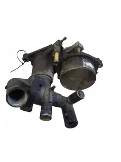 Vacuum Pomp Fiat Ducato 2008