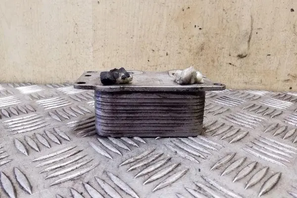 Oljefilterfäste PEUGEOT 407 COUPE 2.0L diesel image 4