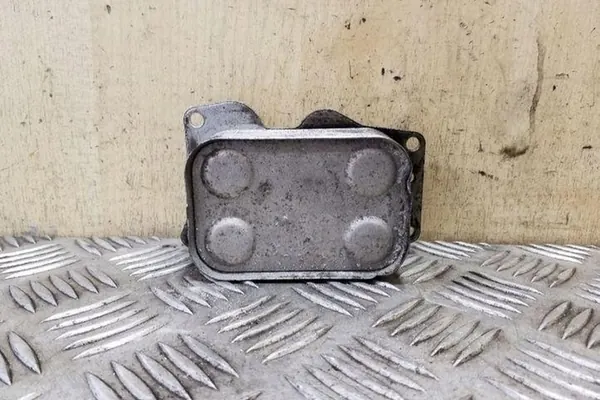 Oljefilterfäste PEUGEOT 407 COUPE 2.0L diesel image 6