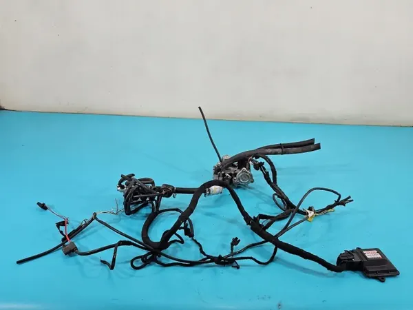 Stag 4 200 GOFAST LPG Kit - IMPRK1507166 image 2