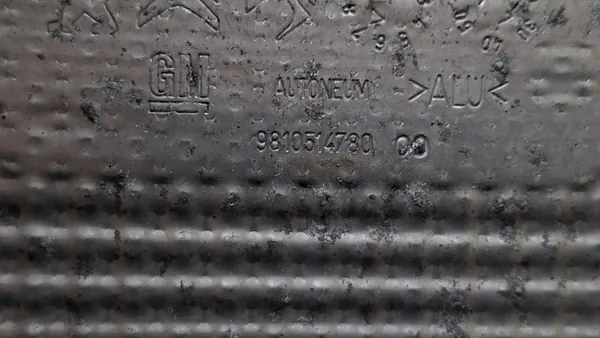 Opel Crossland X Protetor Térmico Escape image 5