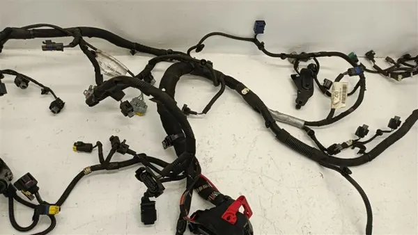 Harness del Motor OEM 9U3Q-9H589-BD para Citroen C5 image 4