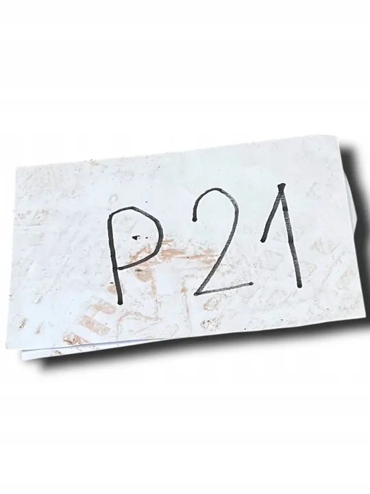 RENAULT CLIO III Etupuskuri Grilli 8200682294 image 4