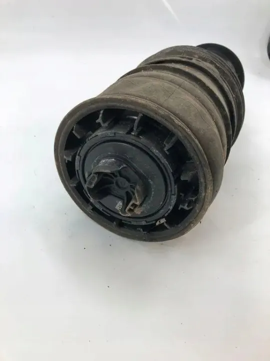 Hintere rechte Federungsdämpfung OEM A2973203601 image 3