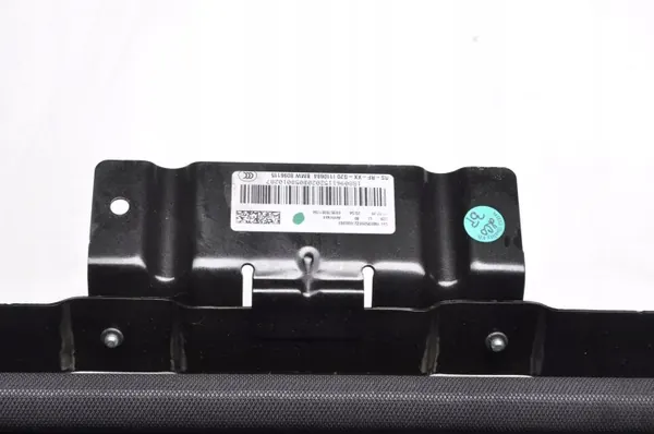 BMW Panoramatak OEM 8096115 405.884 image 4
