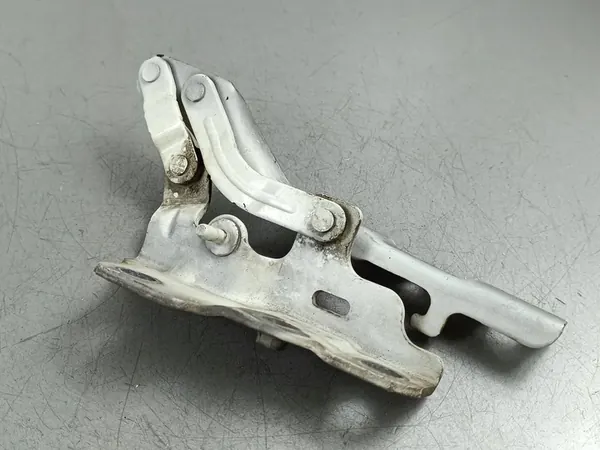 nge do capô SsangYong Rexton 2017 Y400RH image 2