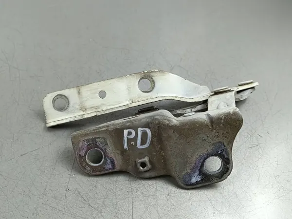 nge do capô SsangYong Rexton 2017 Y400RH image 3