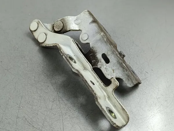 nge do capô SsangYong Rexton 2017 Y400RH image 4