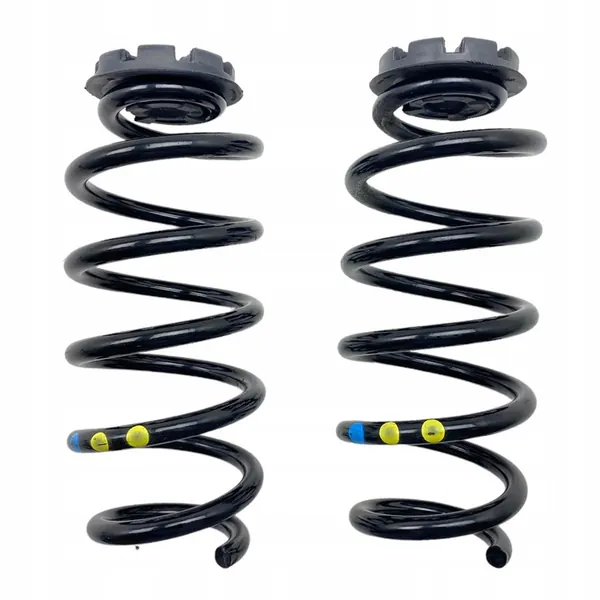 Molas traseiras Dacia Jogger 550208538R image 1