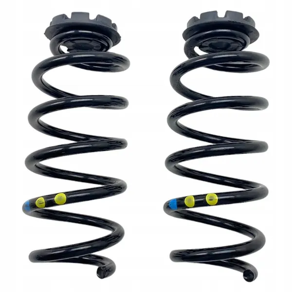 Molas traseiras Dacia Jogger 550208538R image 10