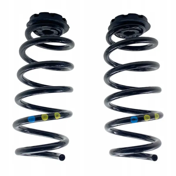 Molas traseiras Dacia Jogger 550208538R image 2