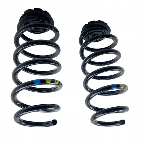 Molas traseiras Dacia Jogger 550208538R image 3