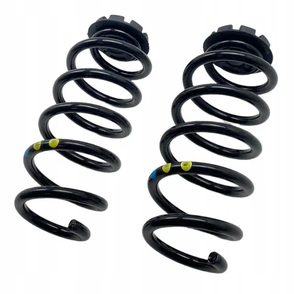 Molas traseiras Dacia Jogger 550208538R image 4