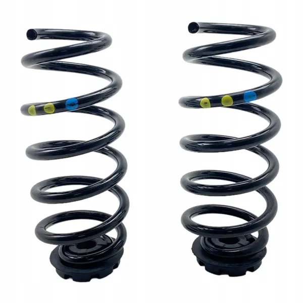 Molas traseiras Dacia Jogger 550208538R image 6