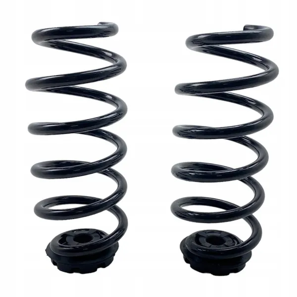 Molas traseiras Dacia Jogger 550208538R image 8