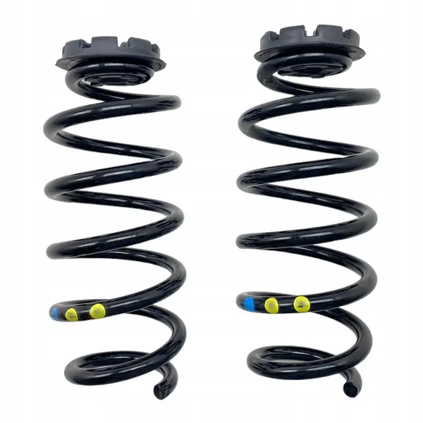 Molas traseiras Dacia Jogger 550208538R image 9