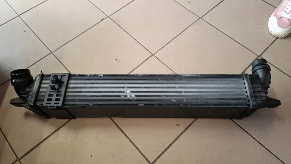 Radiatore Intercooler Renault Laguna III image 2