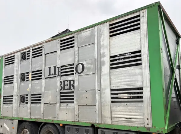 OEM 134 Carroçaria Gado Usada para Camiões Mercedes image 2