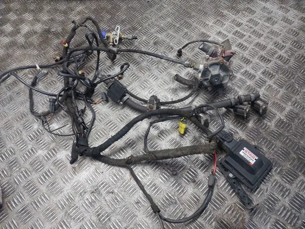 Kit GPL STAG 200 GOFAST PS-02 PLUS AC W03 TYPE R02 image 2