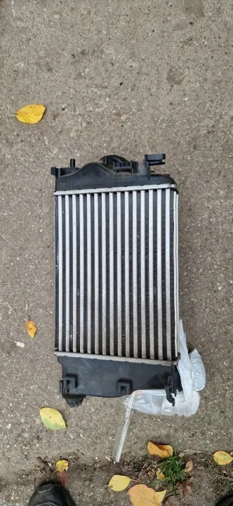 Intercooler Nissan OEM 144614EJ0A J11 - Occasion image 2