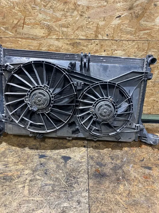 Radiatorventilator OEM 214005447R voor Master III image 2