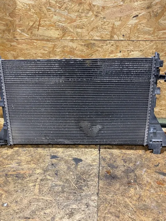 Radiatorventilator OEM 214005447R voor Master III image 7