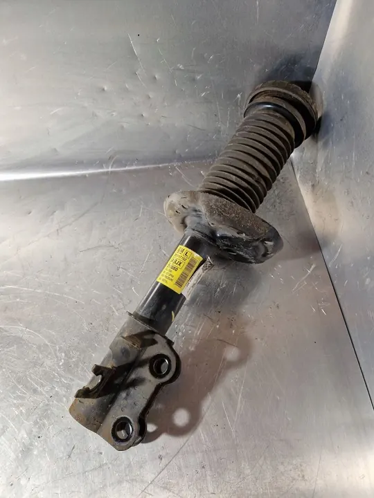 Ammortizzatore anteriore lato sinistro Chevrolet Aveo 95917152 image 2