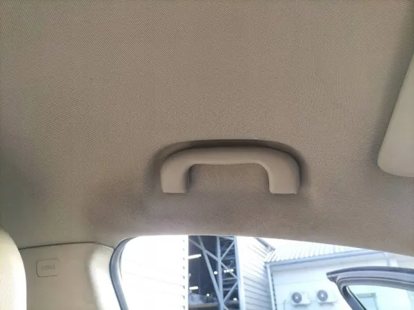 Gebrauchte OPEL Dachhimmel für Insignia A HB 5D image 3
