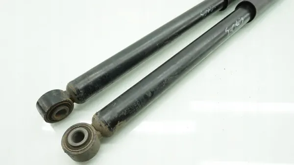 Ammortizzatore Posteriore Suzuki SX4 S-Cross II 41800-54PA0 image 2