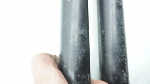 Ammortizzatore Posteriore Suzuki SX4 S-Cross II 41800-54PA0 image 4