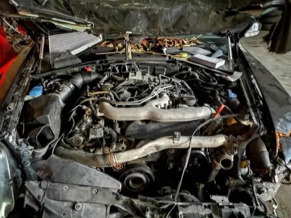 Uitlaatspruitstuk OEM 059253034L Volkswagen Phaeton image 7