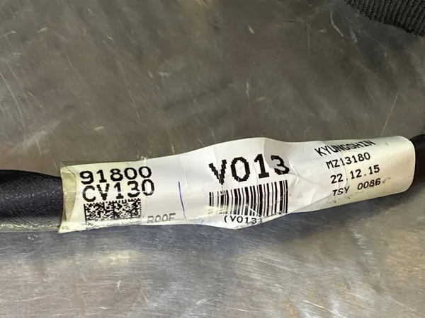 Kia EV6 Dachhimmel OEM FOB42924 - Gebrauchter Zustand image 3
