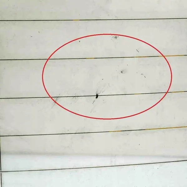 BMW 3 E91 Vidro Traseiro image 4