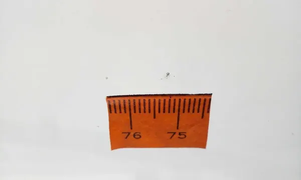 Tuulilasi OEM 5364AGACMVZ6T Mercedes W204 2007-2014 image 5