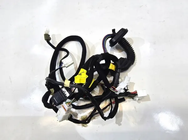 Faisceau Porte Droite Arrière OEM 91691-1W010 image 3