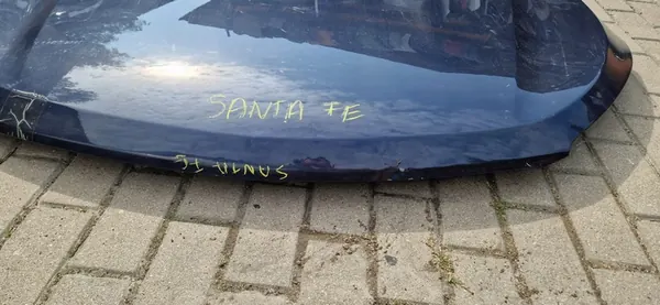 Motorlock Hyundai Santa Fe III 664002W000 image 4